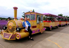 Sightseeing Train Rides