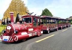 Sightseeing Train Rides