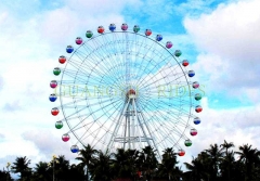 Giant Ferris Wheel