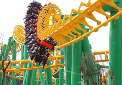 Roller Coaster