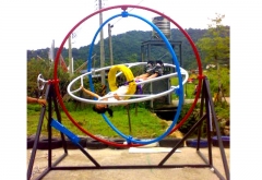 Human Gyroscope